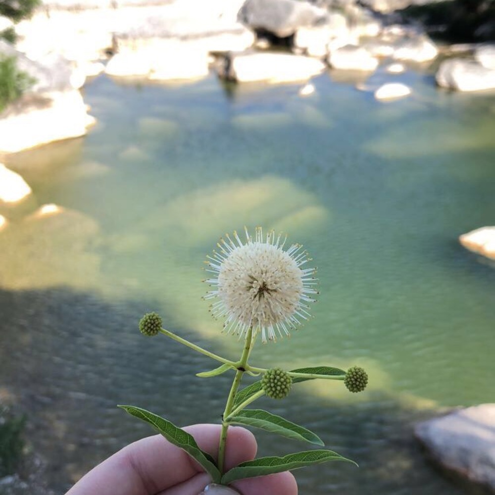 Meet your Posher, Hartley